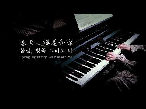 【Bi.Bi Piano】钢琴｜春天，樱花和你 Spring Day, Cherry Blossoms and You