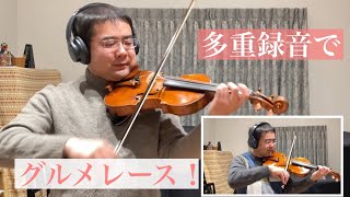 【バイオリンで多重録音】グルメレース弾きました！