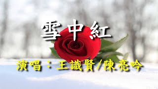 雪中紅                                                                      王識賢‧陳亮吟  演唱