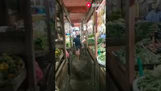 印度尼西亚的菜市场   西瓜视频