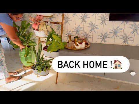 Came back home after a refreshing trip || home reset || shopping haul from the trip ||missed biryani