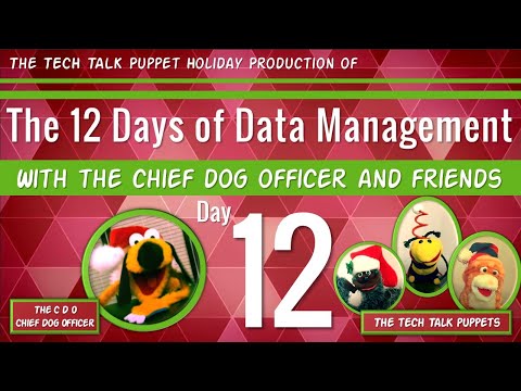 THE 12 DAYS OF DATA MANAGEMENT - Day 12 with The Tech Talk Puppets