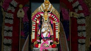 ஓம் சரவணா பாவா ஓம் 🙏🙏🙏