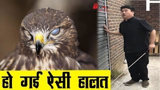 एक रहस्यमयी पेड़ ने पूरे गांव को कर दिया अंधा, इंसानों से लेकर पक्षियों तक की हो गई है ऐसी हालत...