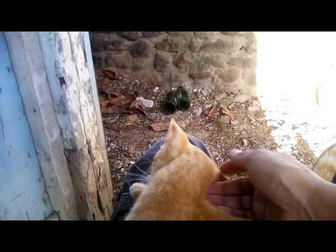 Mishu gets some attention