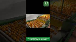 kinnow mandarin export from Pakistan to china | Custom Packaging | Imports and Exports | #short