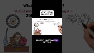 SOX compliance in auditing #accounting #financialliteracy #business