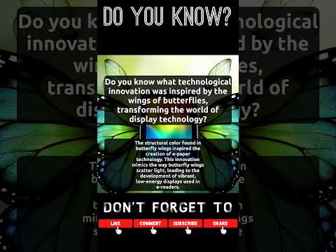 What Inspired E-Paper Technology? Uncover the Butterfly Connection!
