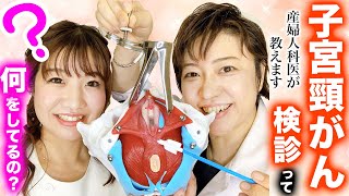 Cervical cancer screening is a bit embarrassing and intimidating, but what exactly goes on there....