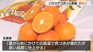 「ハウスデコポン」と「美娘」の初セリ　贈答用として人気のミカンの仲間