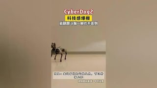 Millet released the second generation of ”iron egg” robot dog  support open source