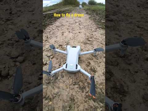 How To Fly the DJI Mini 3 - With the RC Controller?