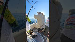 Double up on bonito. #littleriversc #northmyrtlebeach #nearshore #bonito