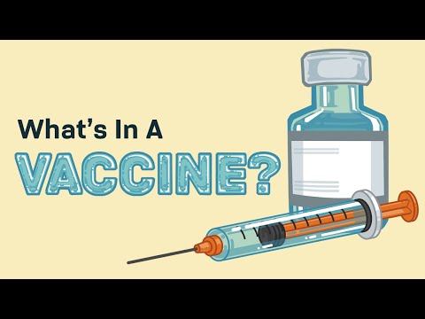What's In A Vaccine?