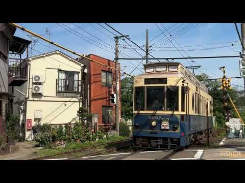 冷やし都電2015