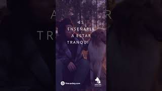 Enseñar a tu perro a estar tranquilo y relajado sin estímulos constantes es clave  #perros # dog