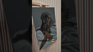 Pet portrait. Doberman portrait. Dog portrait. Realism #портрет #художники #картини #artist #painter