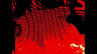 Paluma Sound - Risk