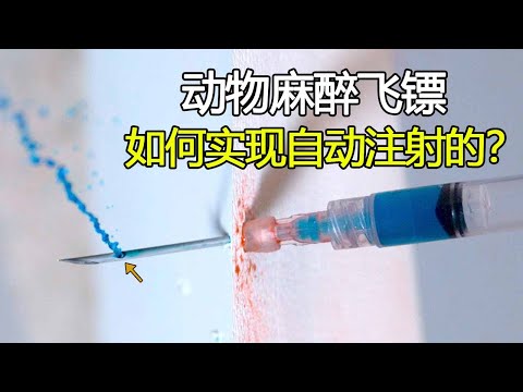 用嘴吹的“动物麻醉飞镖”，是如何实现自动注射的？设计太巧妙了！