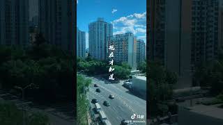 职场语录 36