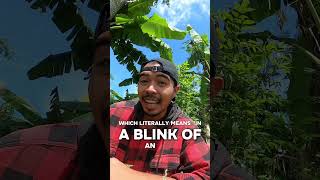 Let’s learn english through a song. A javanese song!! #shorts #bahasainggris #learnenglish #english