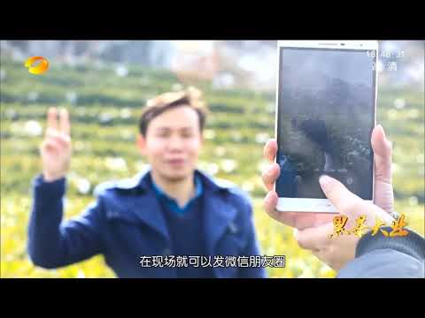 黑茶大業6：新時代的味道