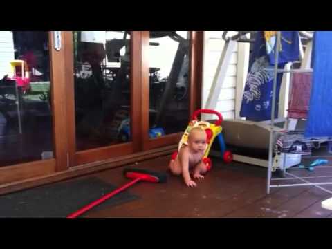 Felix at play
