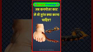 What should you do immediately when a centipede bites? GK in Hindi | General Knowledge | GK quiz ...
