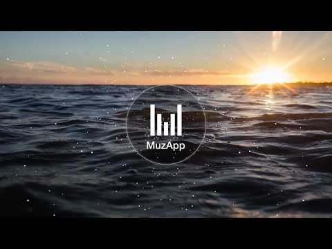 Howl at the Moon (Reunify Miami Mashup Mix) - Stadiumx feat. Taylr Renee