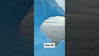 Scientists Are SHOCKED! Glaciers Have Been Hiding THIS for Thousands of Years! ❄️🧊 #amazingfacts