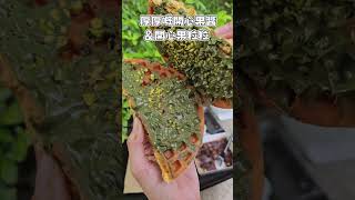 開心果格仔餅