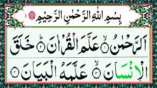 🔴 Live | Surah Ar-Rahman Recitation with Tajweed Episode 443 | Soothing Quran Tilawat
