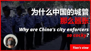 为什么中国的城管那么嚣张？| 东方大国 | 城管 | 暴力执法 | 地摊经济 |