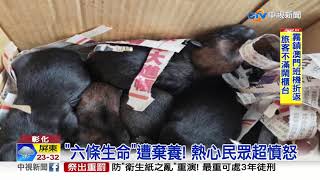 狠心! 飼主六幼犬當垃圾 扔水溝棄養│中視新聞 20190419