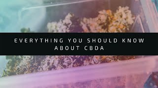 CBDA Cannabinoid – The Complete Guide | CannabinoidsGarden.com
