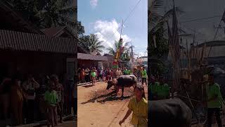 tradisi acara Tiwah KalTeng