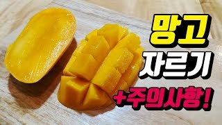 망고 자르기 / 손질 / 까는법! 망고 먹방까지?! 망고씨가 너무해ㅠㅠ 주의사항!