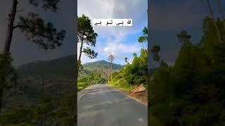 Quran in Urdu translation #qurantranslationinurduonly #qurantranslation