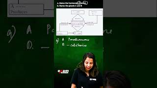 Calcium metabolism വളരെ important ആയിട്ടുള്ള ഭാഗം  | SSLC Biology