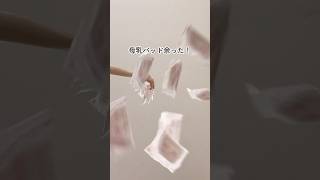 【母乳パッド活用法】#0歳児ママ #子育てグッズ #子育てママ #育児ライフ #育児グッズ #育児ハック #赤ちゃんのいる生活
