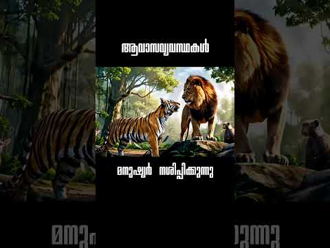 AI VIDEO - EVS unit 1 - ജീവികളും ചുറ്റുപാടും #AI #aimalayalam #aivideo #ecosystem #viral #viralvideo