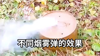 体验几款不同的烟雾弹，现实中烟雾弹的效果有什么不同呢？