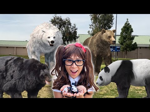 Bears For Kids | Soso Brings Her Bear Animal Toys To Life!