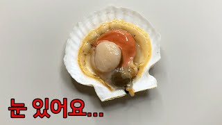 Things You Didn't See in Scallops - Scallop Anatomy