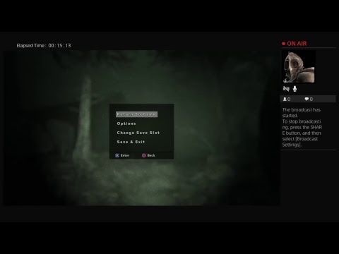 Outlast  2 blind