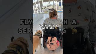 FLYING WITH A SERVICE DOG 🦮 #servicedogs #travel #disability