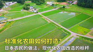 標準化農田如何打造？看看日本農民的做法，現代化農田改造的標杆