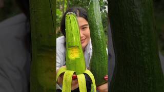 Enjoy with rural life and harvest all kinds of fruits #442
