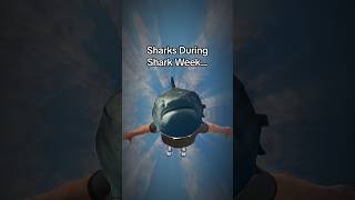 Sharks During Shark Week… #sharks #sharkweek #shark #sharkweek2024