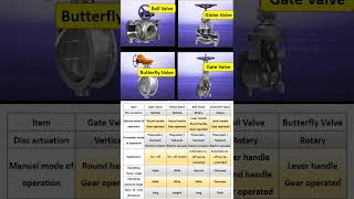 Common Valve: Types, Applications, Characteristics